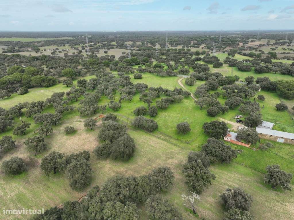 Propriedade Rústica com 11 Hectares junto a Canhestros-31