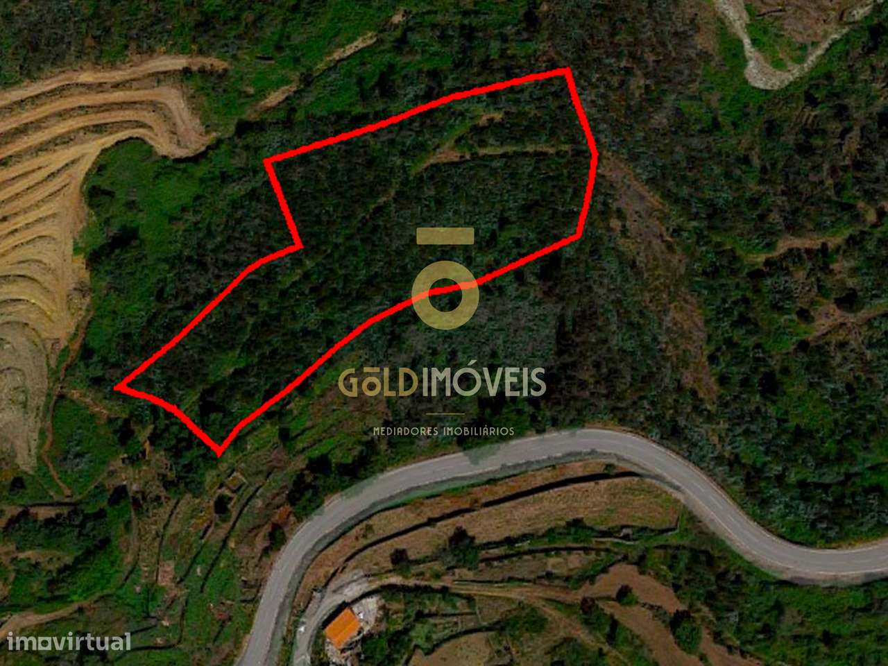 Terreno Florestal em Raiva - Castelo de Paiva - Grande imagem: 3/4