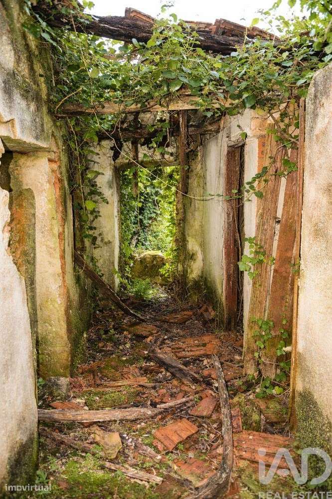 Casa de Campo em Chãos - Grande imagem: 5/7