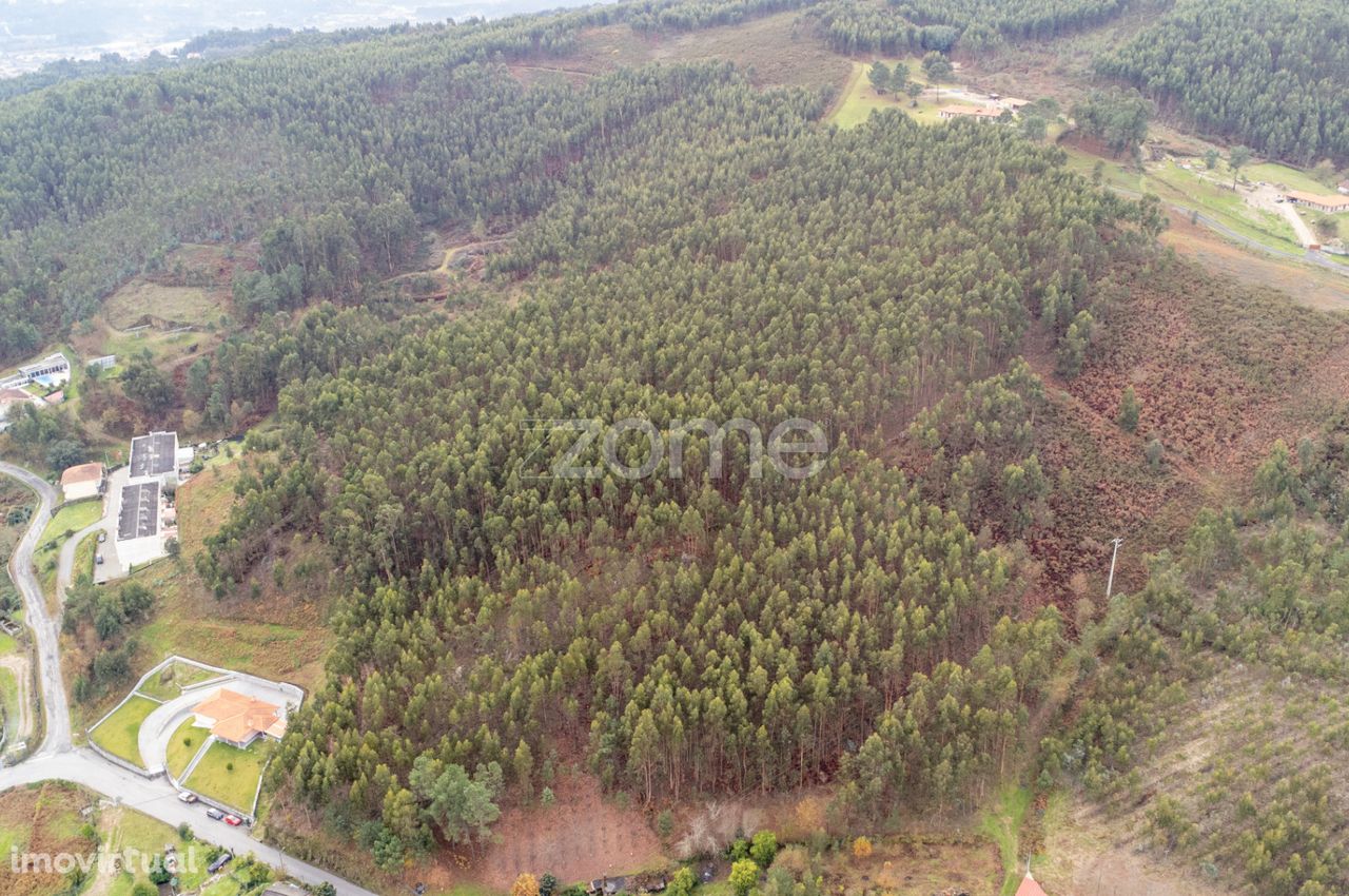 Terreno Rústico com 30 000m2 em Galegos - Póvoa de Lanhoso