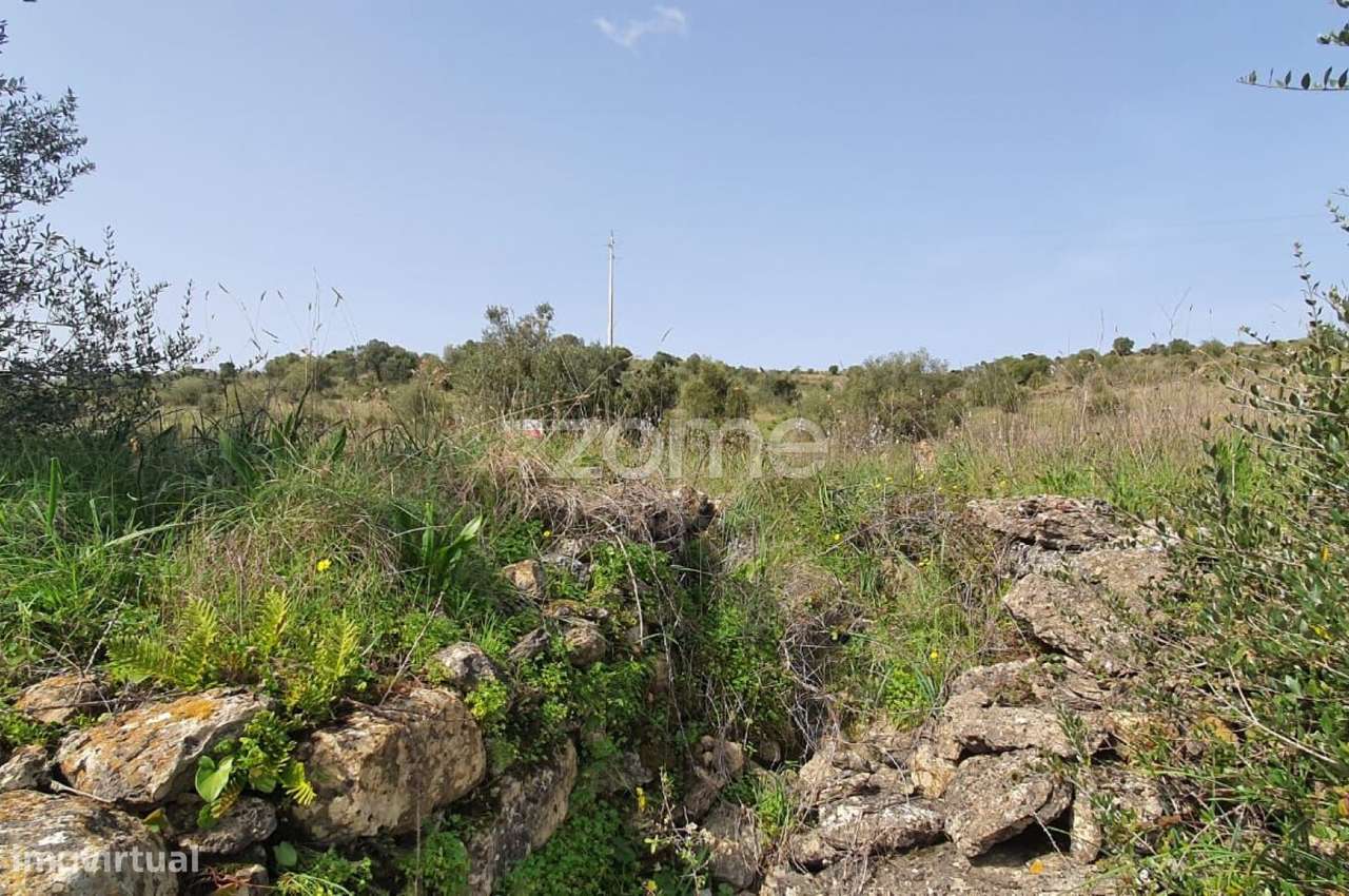 Terreno Rústico -Natureza, História e Tranquilidade na Terrugem Sin...-16