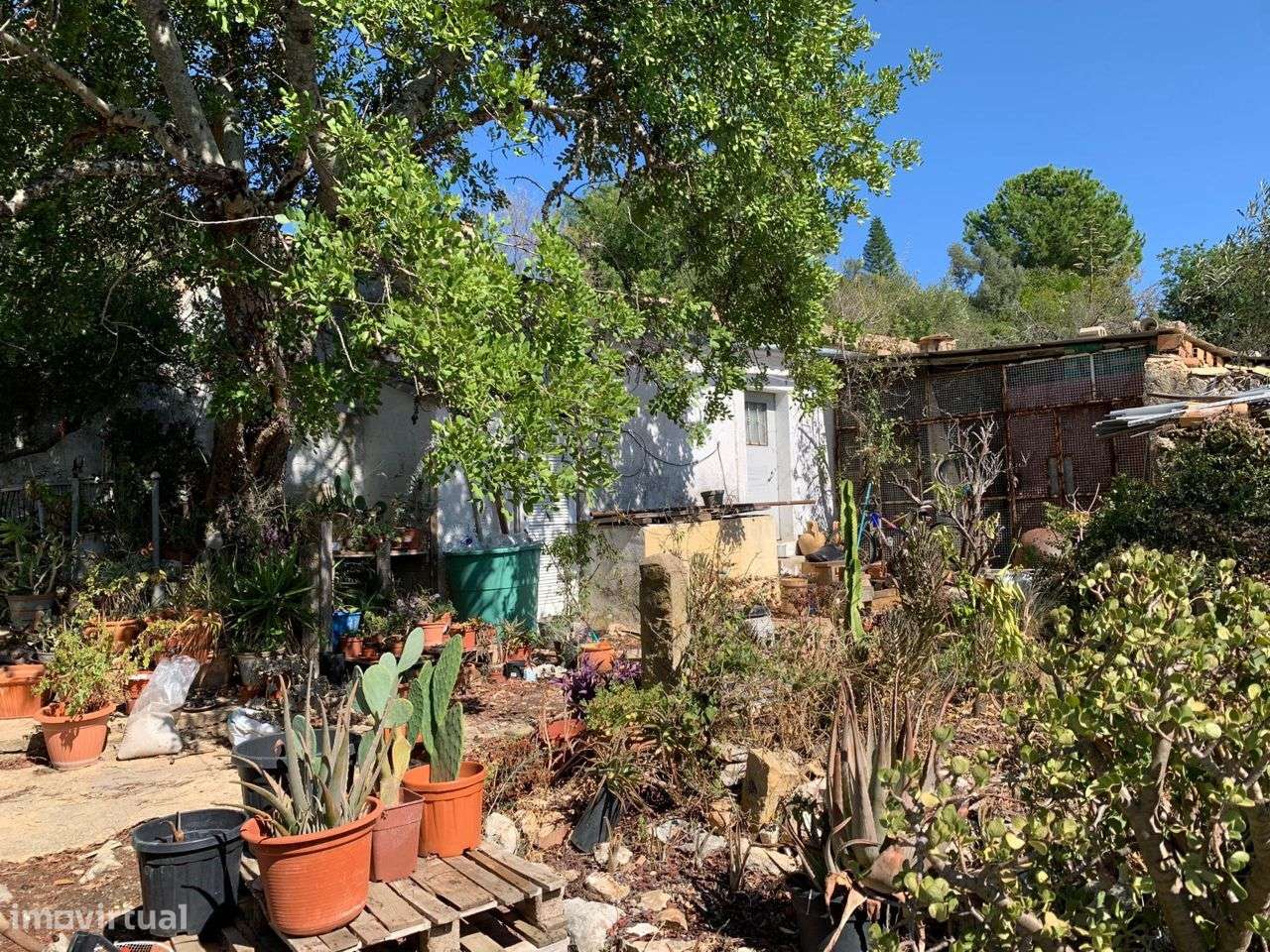 Terreno Urbano, com 3 artigos, Colmeal - Grande imagem: 2/60