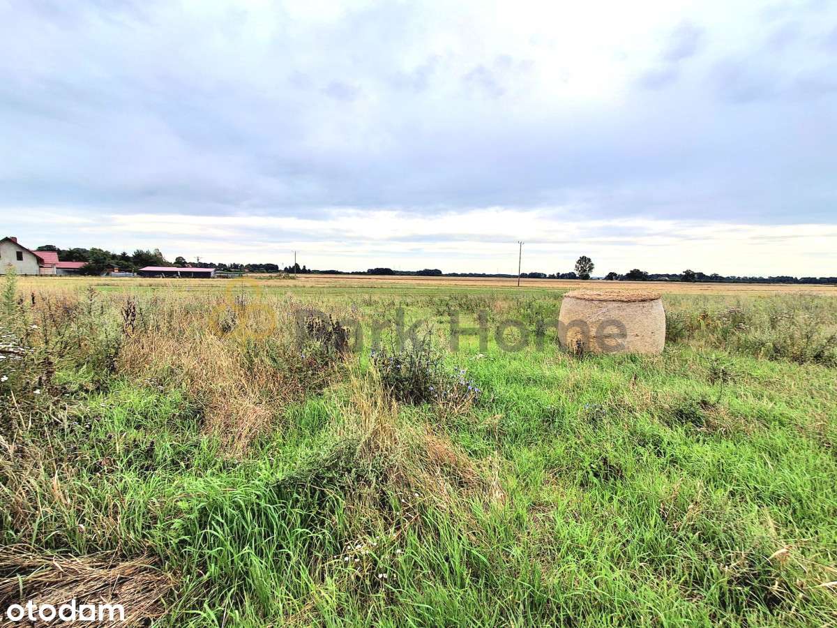 Działka 30 arowa, Droglowice - Pełny obrazek: 5/6