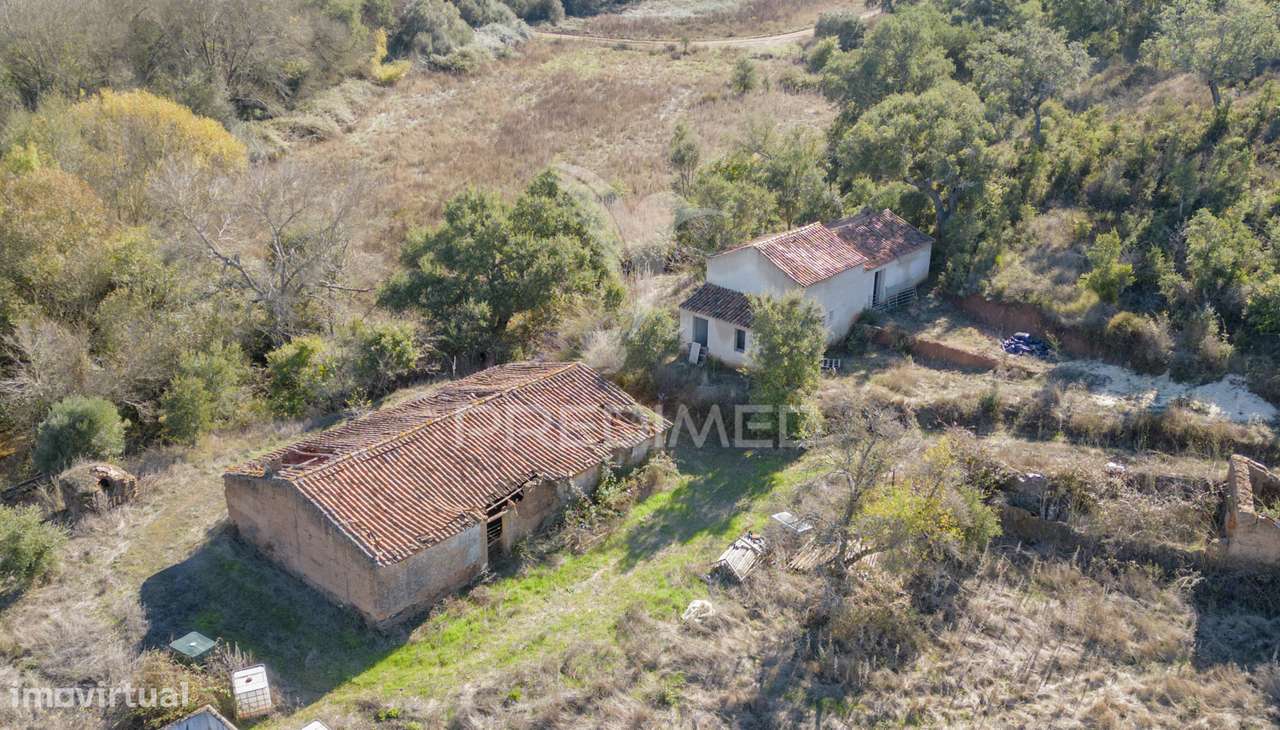 Quinta de 11 hectares com uma ribeira em Boavista dos Pinheiros - Grande imagem: 5/32