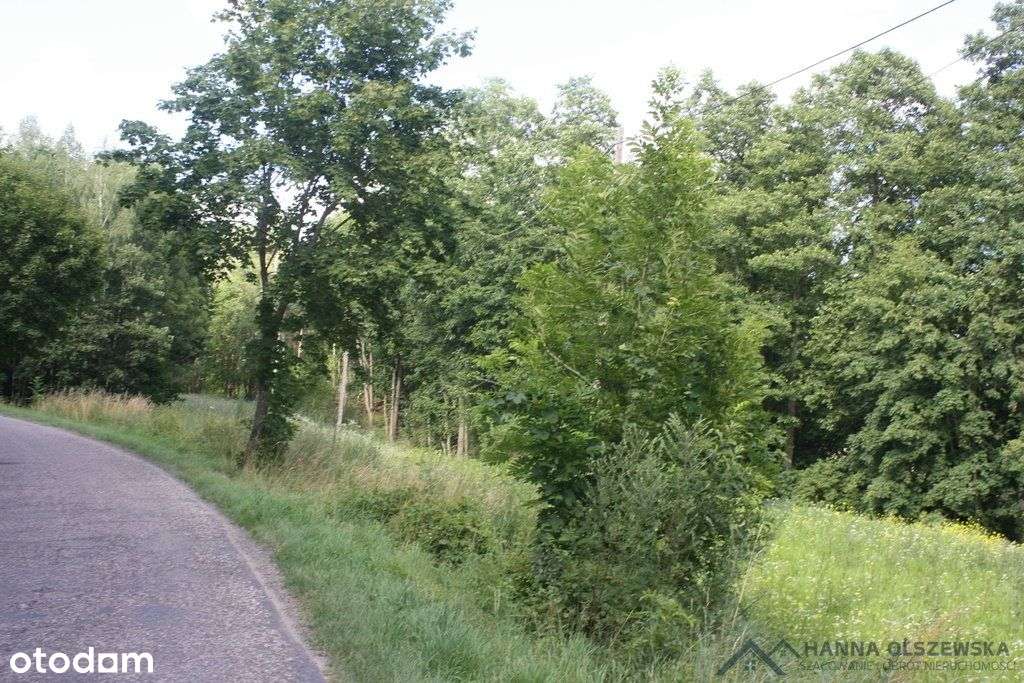 Działka z lasem, stawem i strumykiem o pow. 10 ha - Pełny obrazek: 4/20