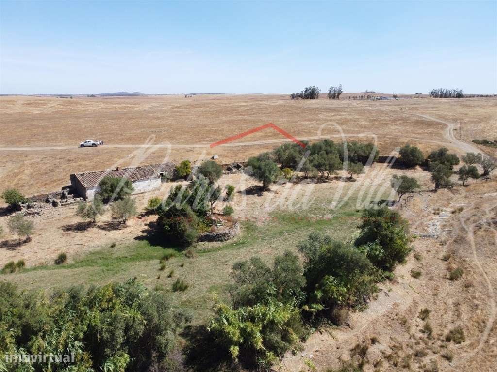 Propriédade de 119ha com varias ruinas - Castro Verde-11