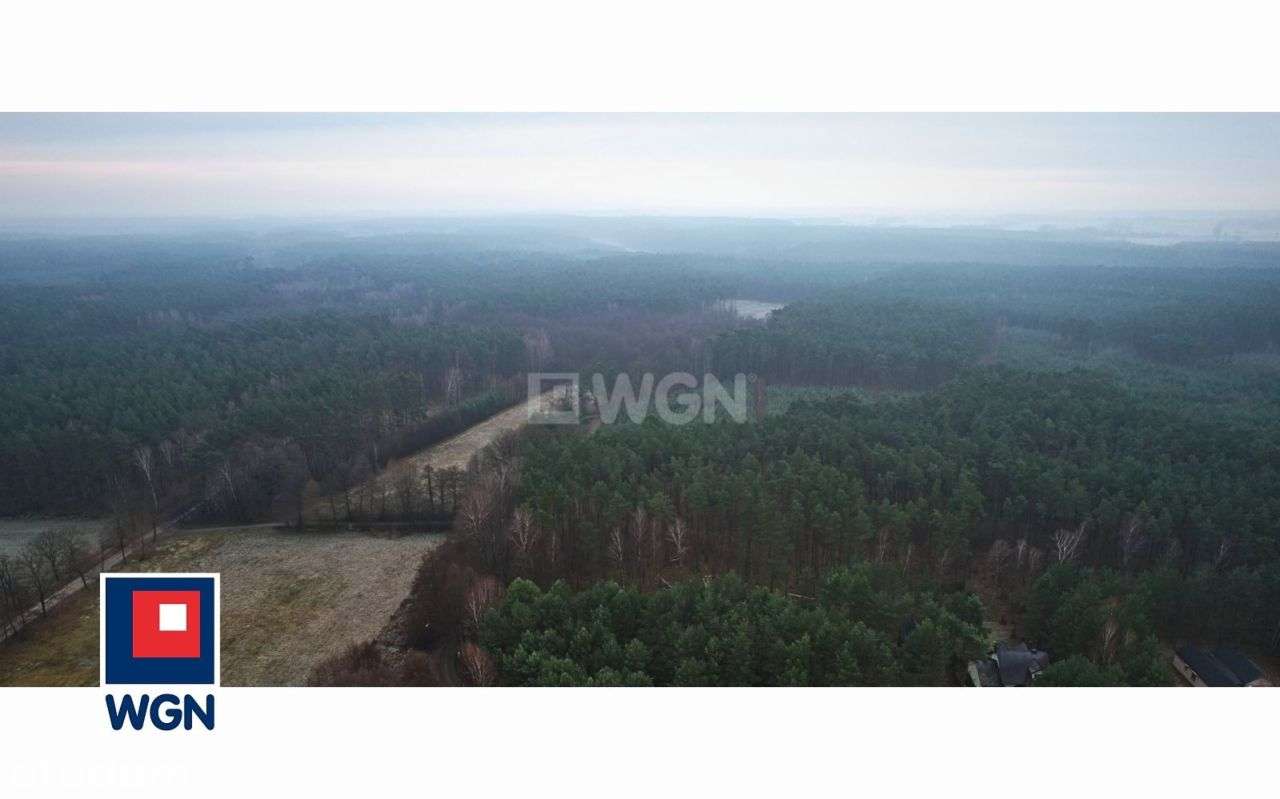 Dom | Las i jezioro | Owczegłowy, gm. Rogoźno-2