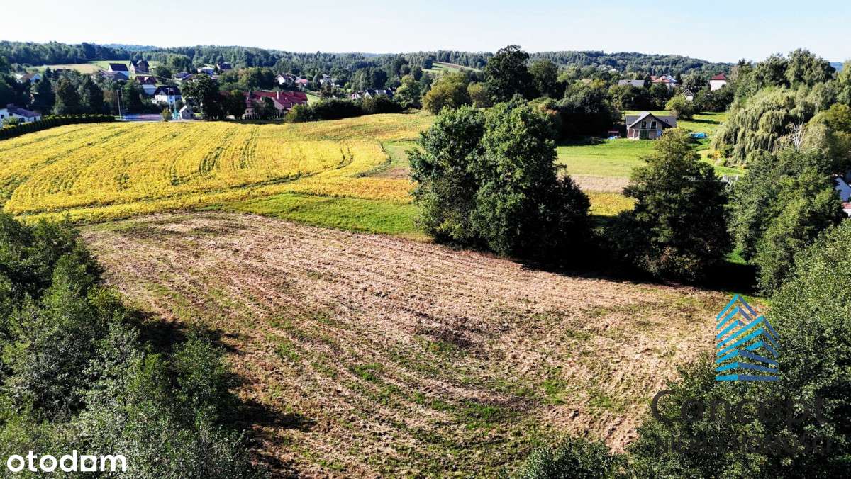 Działka budowlana 45 arów – Łazy-6