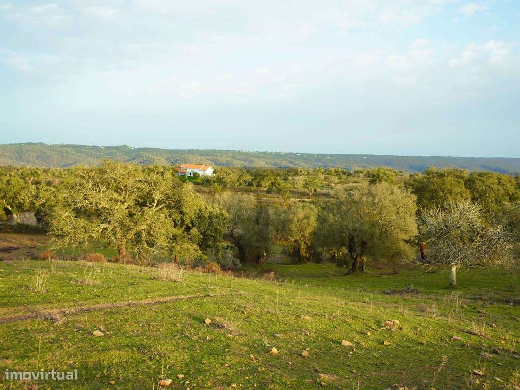 Terreno para Venda com 34 Hectares com Ruina na Serra de Grândola /...-11
