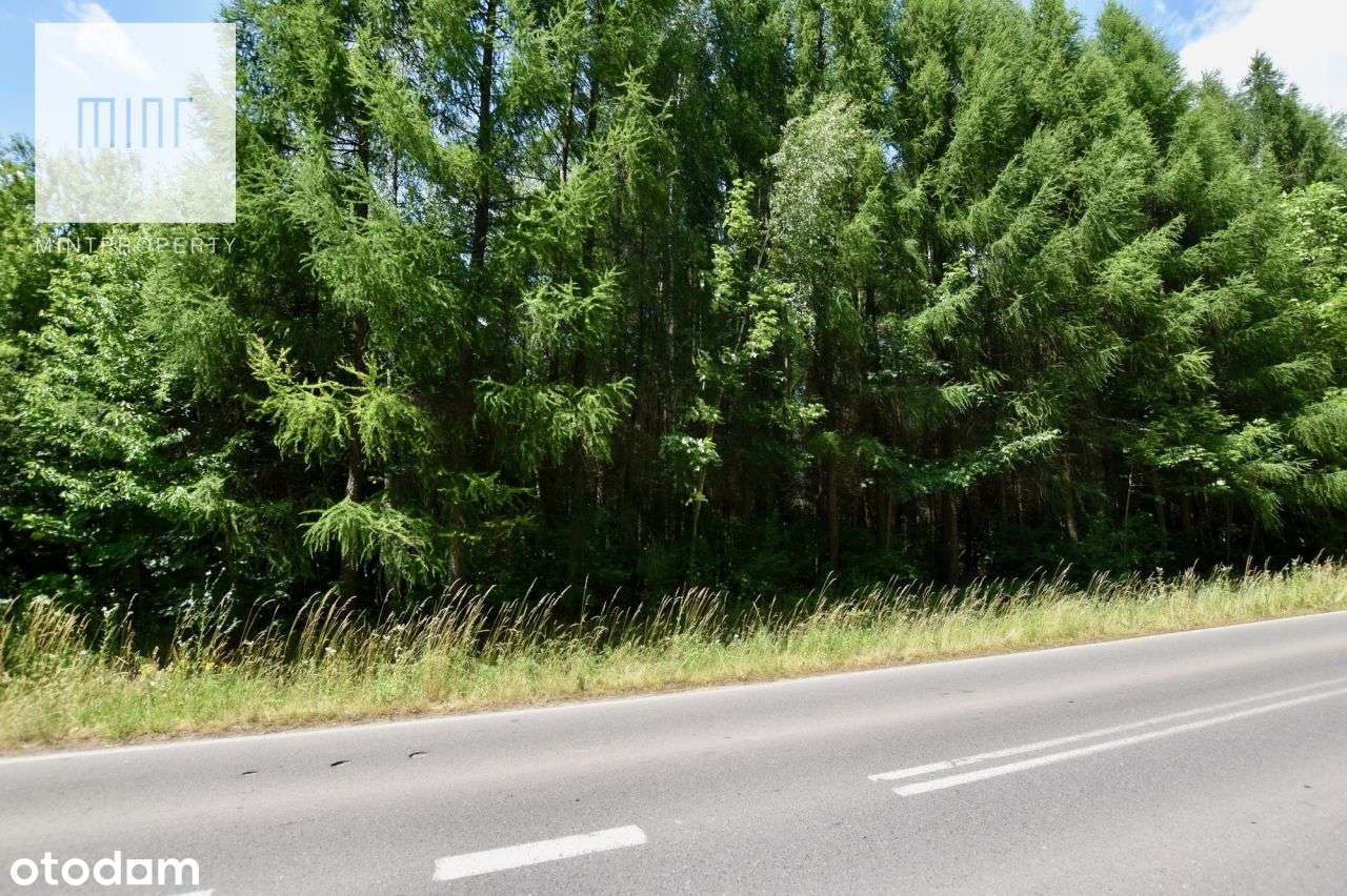 Działka rolna z Wz na sprzedaż w Trzebownisku! - Pełny obrazek: 4/4