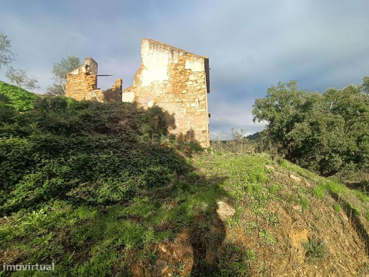 Moradia – Vila de Rei - Mais