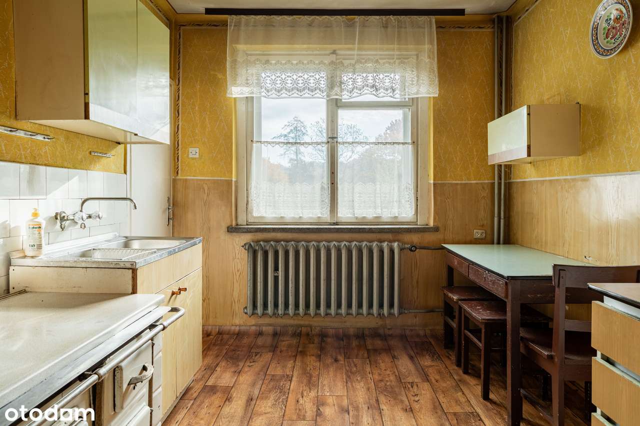 Dom z dużą piękną działką ponad 3ha w otoczeniu lasu i łąk -Golasowice - Pełny obrazek: 5/19