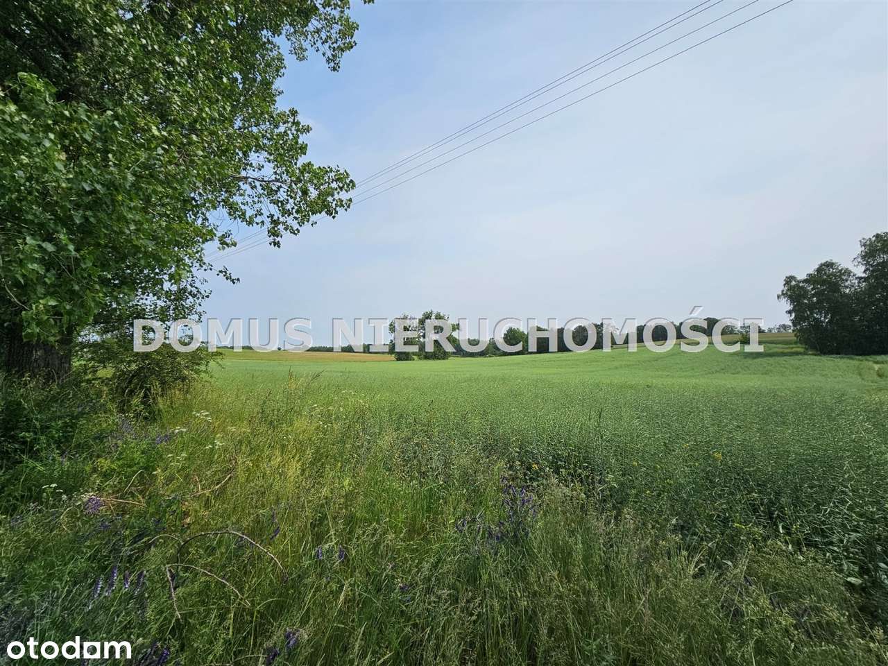 Działki na sprzedaż Gałkówek Parcela k/Koluszek.-4