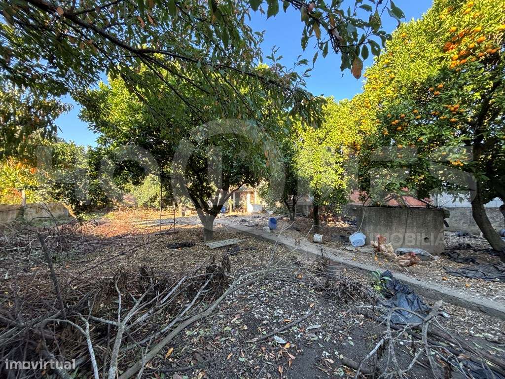 Moradia | Para recuperar | Habitação + Terreno | Oportunidade-16