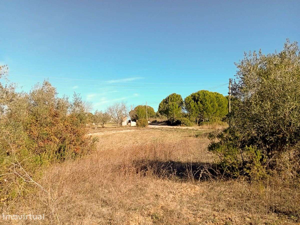 Terreno, Santarém - Grande imagem: 3/8