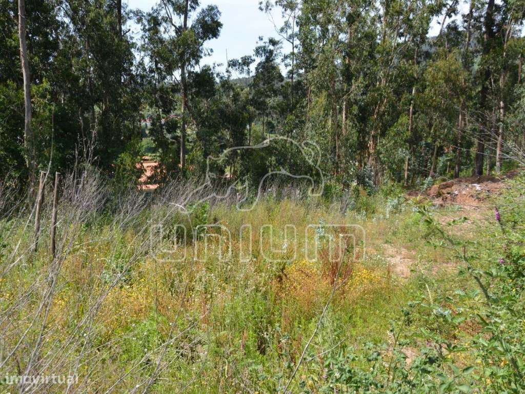 Terreno em Vila Verde - Grande imagem: 2/6