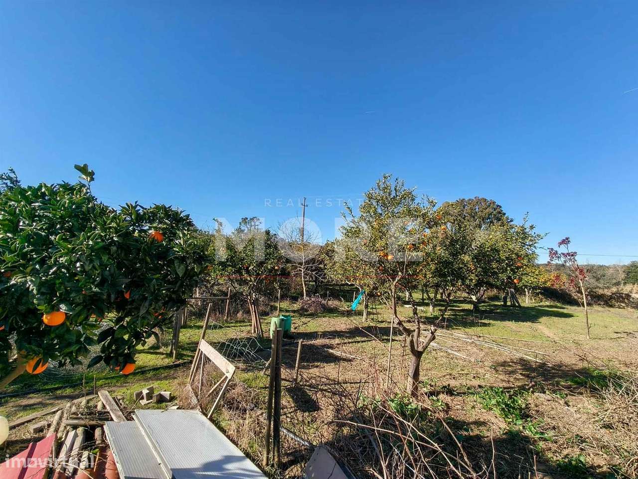 Terreno com 9500 m² – Évora-23