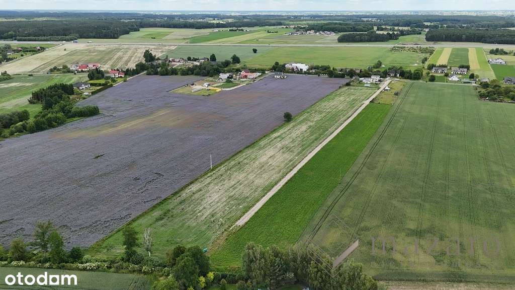 Działka na sprzedaż – Żołędowo, gmina Osielsko - Pełny obrazek: 5/6