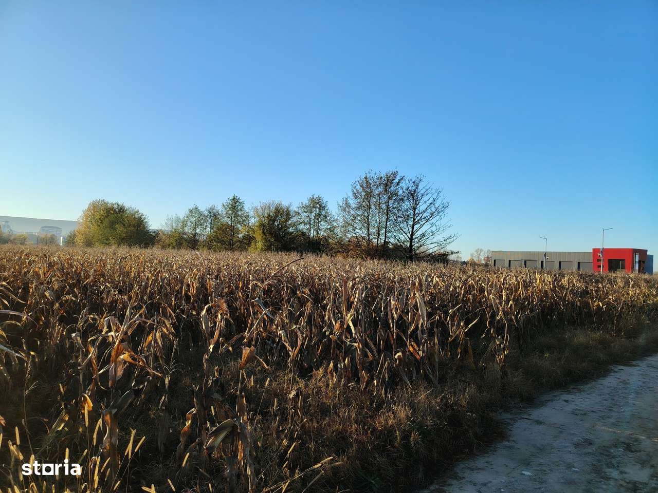 Teren intravilan Mioveni, zona Bălți în apropiere de Kaufland Mioveni - Imagine principală: 5/6