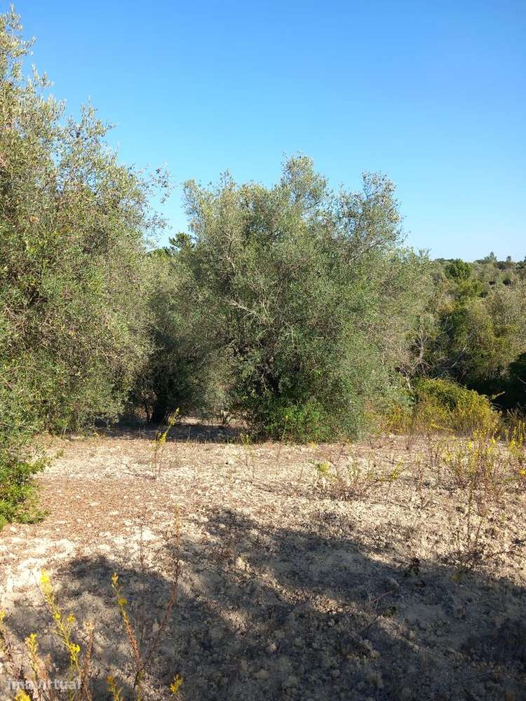 Venda Terreno - Grande imagem: 4/4