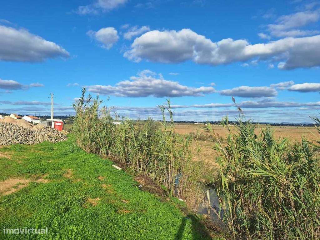 Lote com projetos aprovados para moradias isolada em Lagoa - Grande imagem: 3/11
