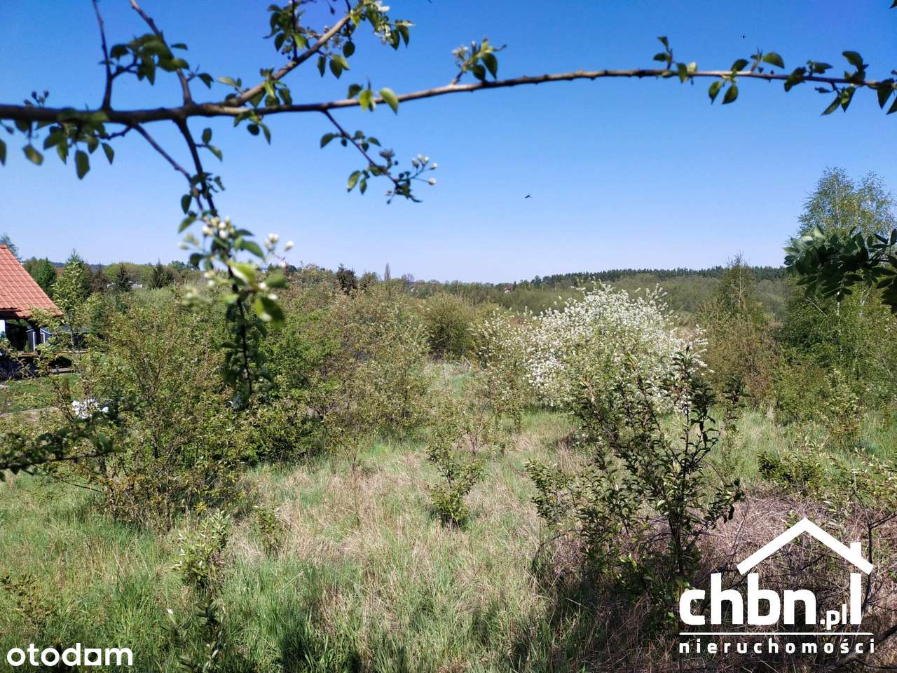 998 m² spokoju i przestrzeni – Twoje miejsce w Charzykowach - Pełny obrazek: 4/11