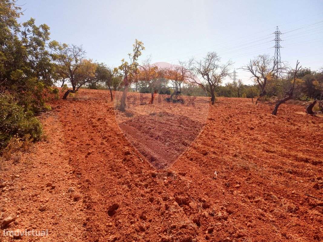 Terreno  para venda - Grande imagem: 5/12