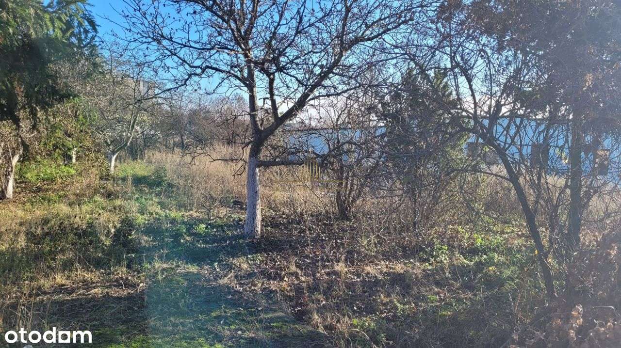 Działka Batorego, Budowlano - Usługowa, 706 M2-3