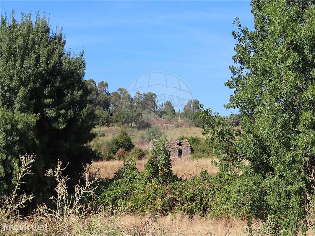 Quinta  para venda-17