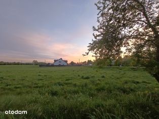 Wschody i zachody słońca z własnego ogródka