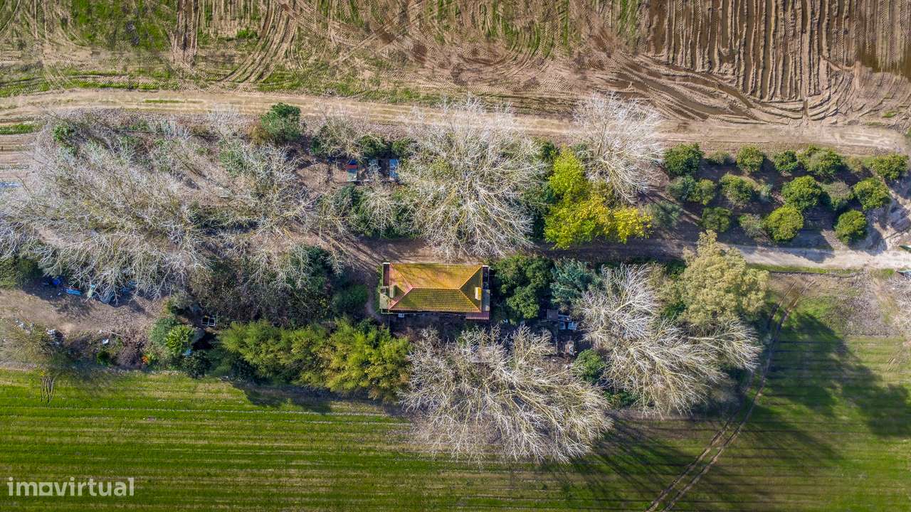 Quinta Olival das Moitas - Benfica do Ribatejo - Grande imagem: 4/47