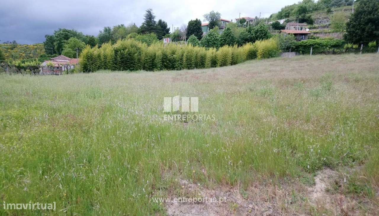 Venda Terreno, Gestaçô, Baião - Grande imagem: 4/6