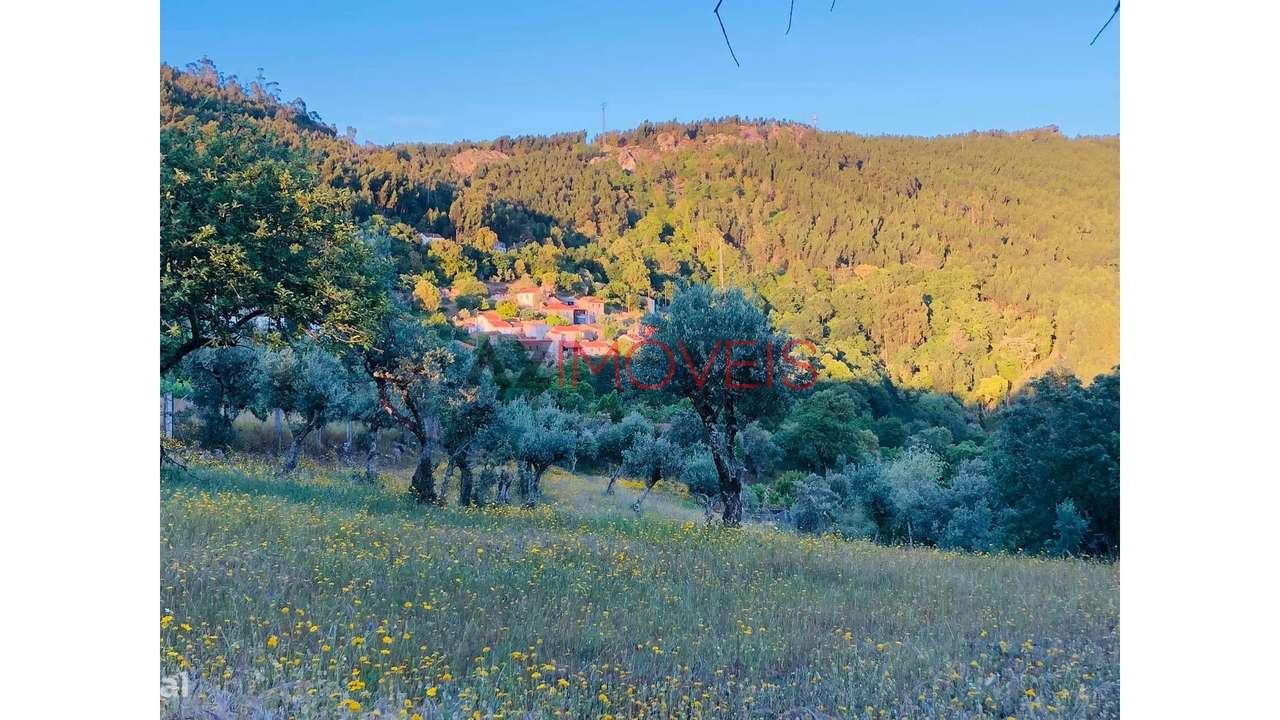 Moradia em Aldeia do Xisto-36