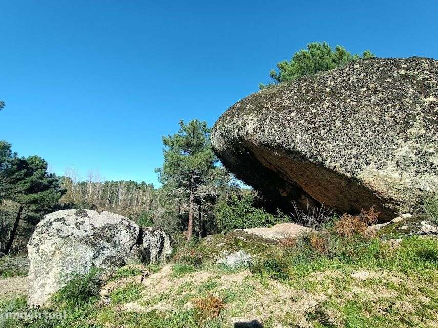 Quinta com 47.000 m2 junto ao Rio Calvo, em Valpaços, ideal p/ turismo-6