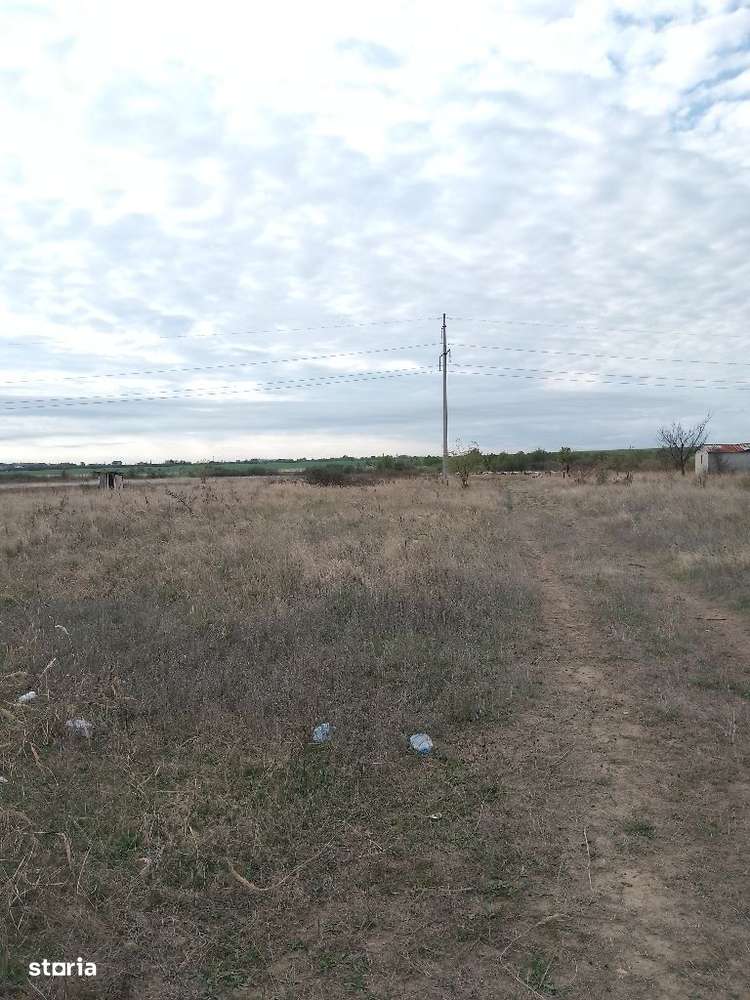 Teren Cârcea - Imagine principală: 5/7