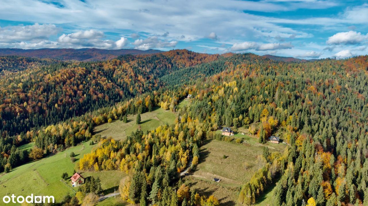 Szlembark Nieruchomości Inwestycyjne, Rolne, Las