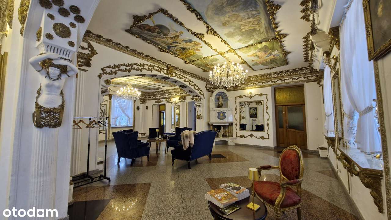 Przepiękny Pałac Tarnowskich czeka na nabywcę.-4
