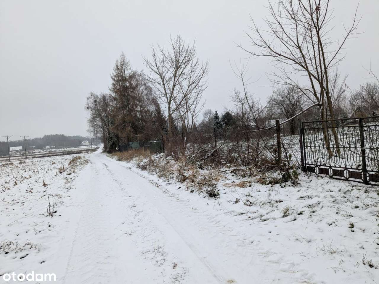 Kształtna działka w Nieckach gmina Turośń Kościelna - Pełny obrazek: 4/6