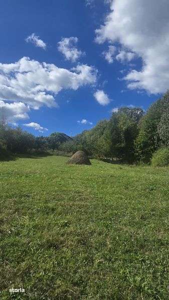 Loturi teren Poiana Campina, 30eur/mp,apa,curent,gata pentru construir - Imagine principală: 5/8