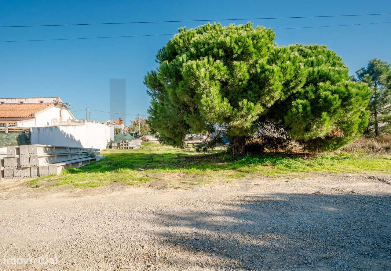 Terreno Rústico, no Pinhal das Formas, Quinta do Anjo, Palmela-3