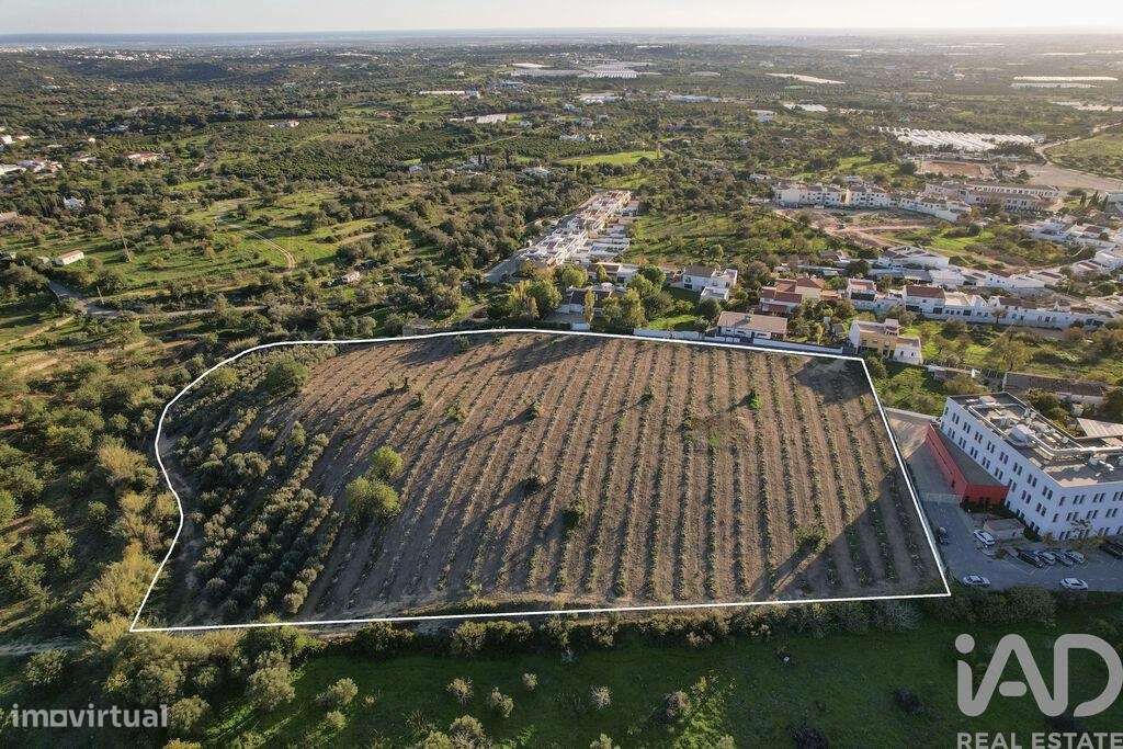 Terreno para construção em Conceição e Estoi de 8800,00 m2 - Grande imagem: 3/24
