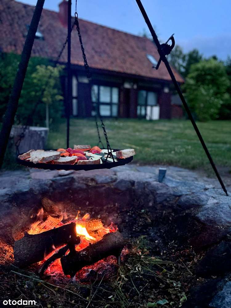 Urokliwe siedlisko Pilchy nad jeziorem Roś-19