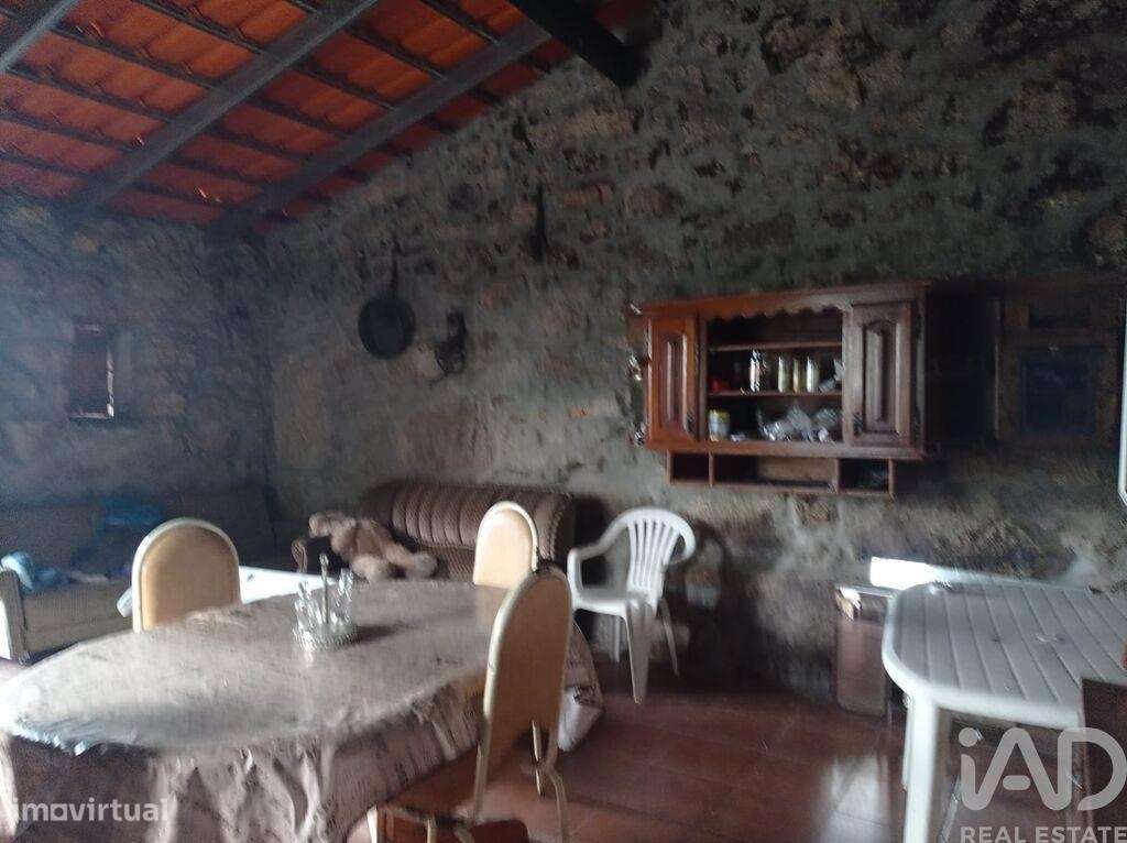 Terreno Agrícola em Sendim-20