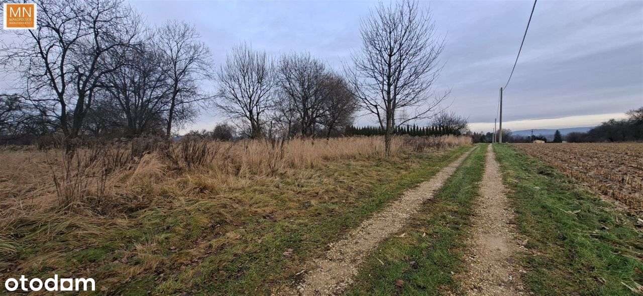 Morawica,Liszki, działka z pozwolniem-6