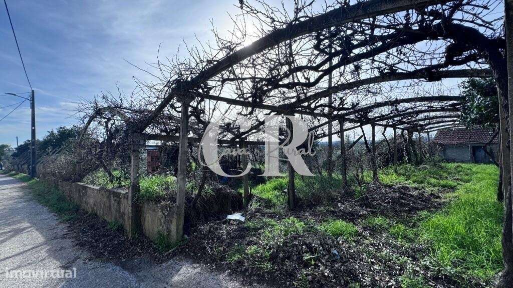 Quinta com casas de pedra para recuperar, poço e furo-21