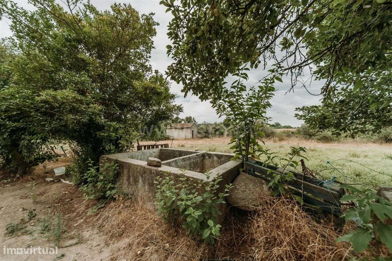 Quinta T3 / Covilhã, Peraboa - Grande imagem: 4/20