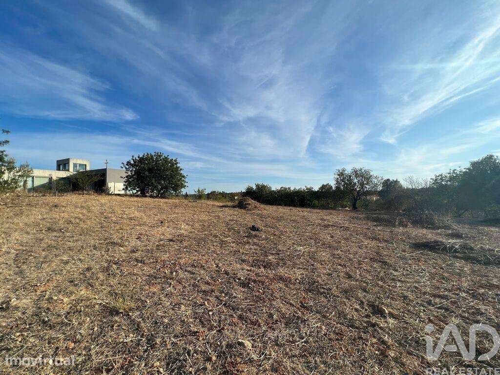 Terreno Agrícola em Quelfes de 1600,00 m2 - Grande imagem: 5/8