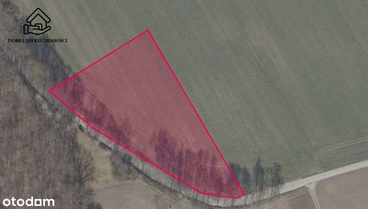 4834 m2 - Wojciechów - zabudowa jednorodzinna - Pełny obrazek: 4/4