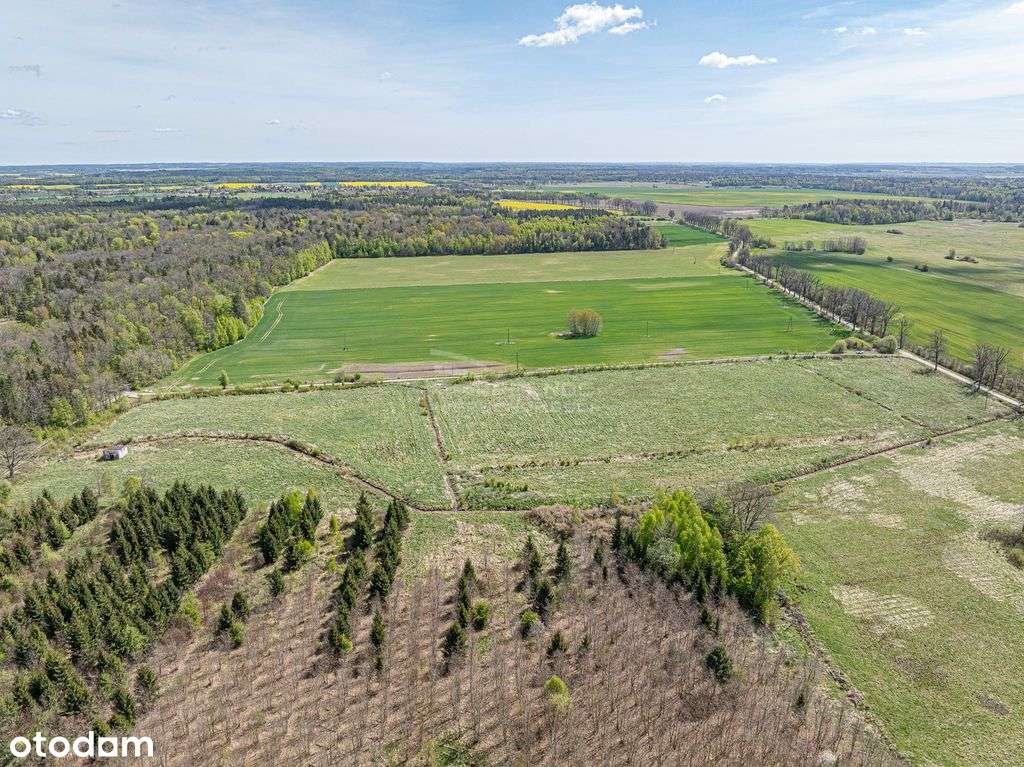 Grunt – 6,2683 ha – Pierławki, gm. Płoskinia - Pełny obrazek: 4/17