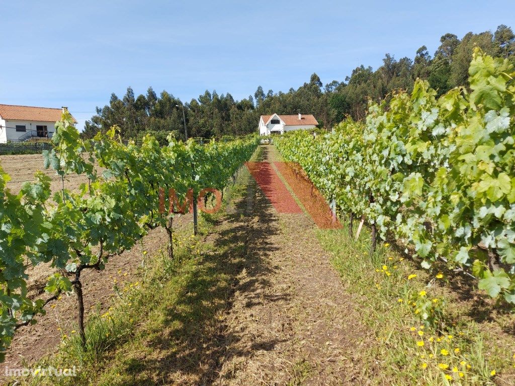 Terreno para construção